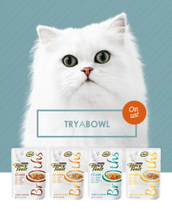 cat broths sample