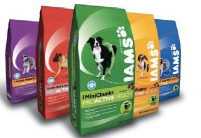 iams dog food