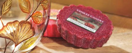 CDP_WaxMelts_Tarts(1)