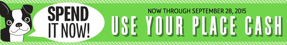 spend-place-cash(1)