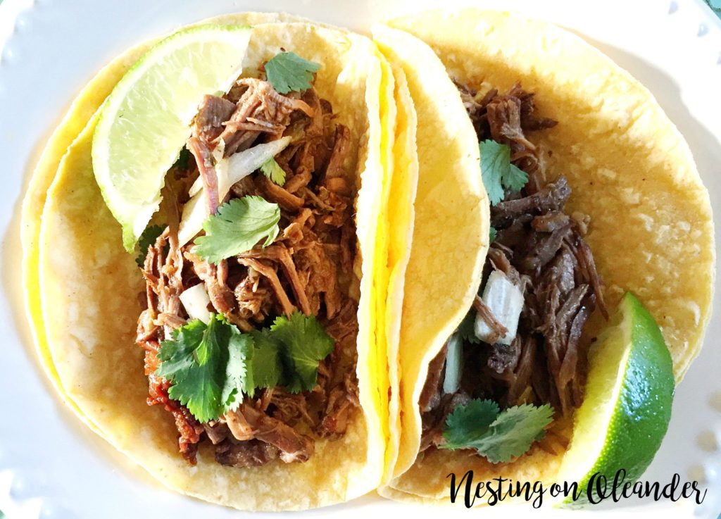 Barbacoa tacos nesting on orleander