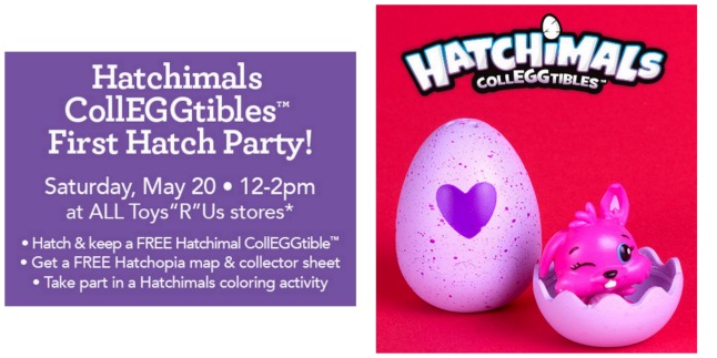 hatchimals party
