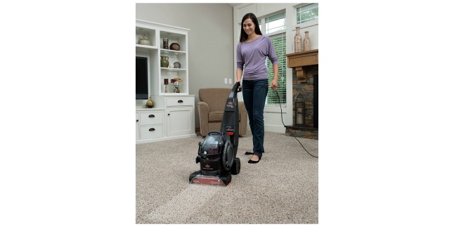 pet carpet cleaner