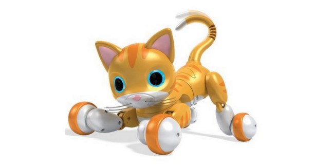 zoomer kitty