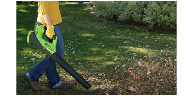 greenworks blower