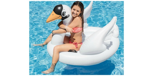 swan float
