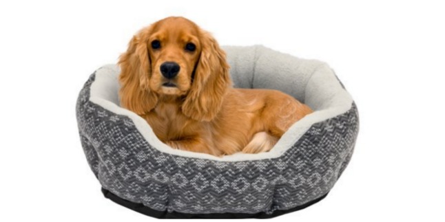 pet bed