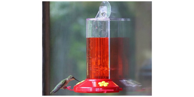 hummingbird feeder