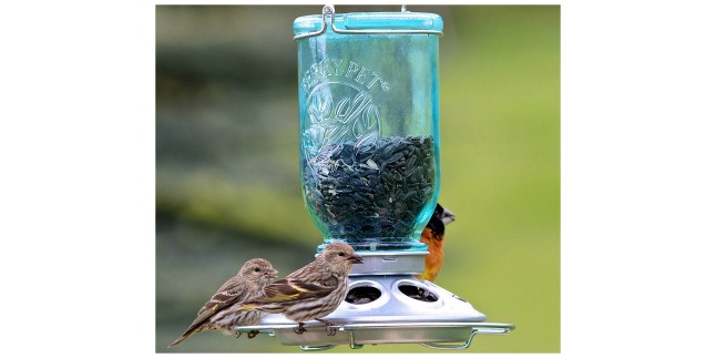 mason jar bird feeder