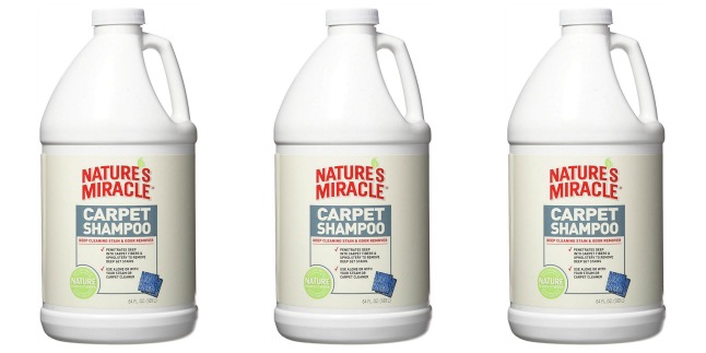 natures miracle carpet shampoo