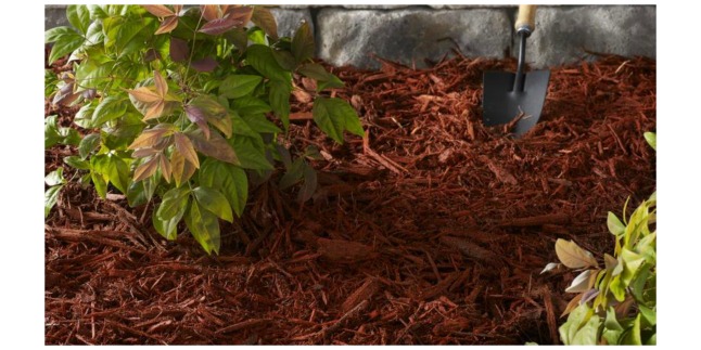 mulch