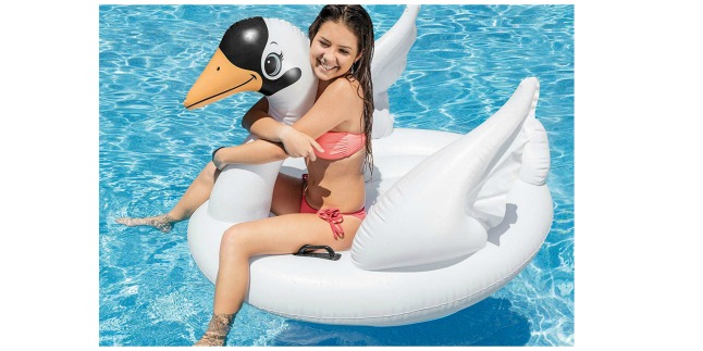 swan float