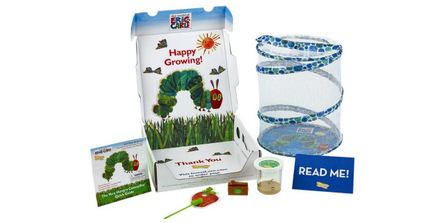 butterfly growing kit