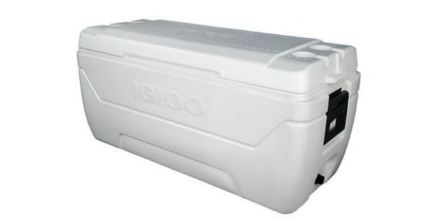 igloo cooler