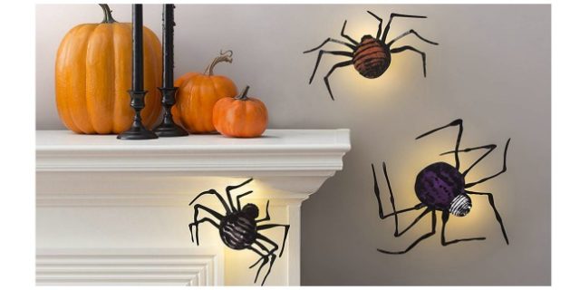 Martha Stewart spiders