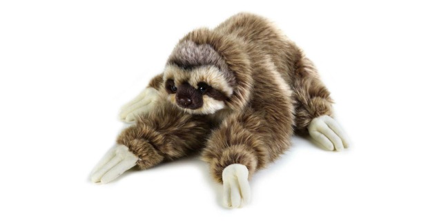National Geographic sloth