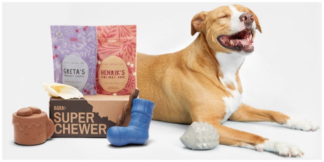 barkbox super chewer