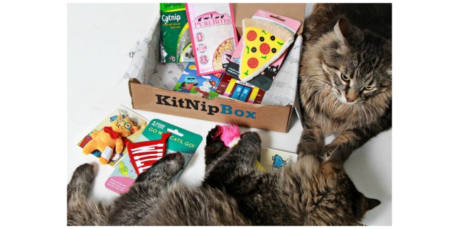 kitnip box