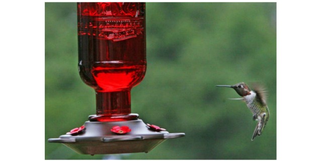 vintage hummingbird feeder