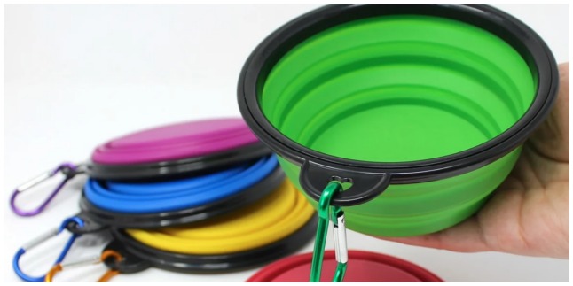 collapsible dog bowl