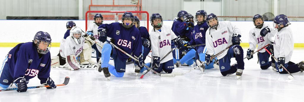 youth hockey