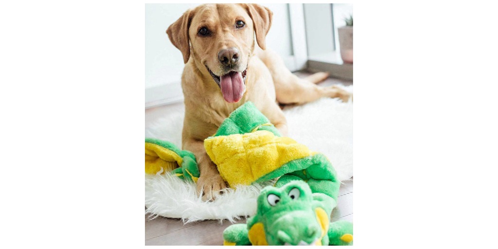 Outward hound squeaker toy
