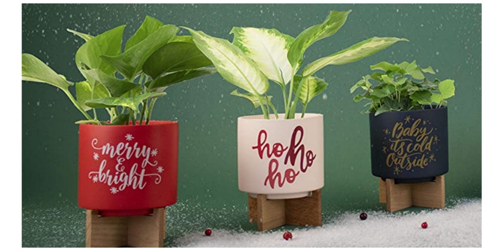 ceramic holiday planters