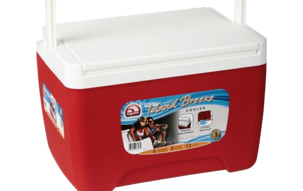 igloo cooler island breeze
