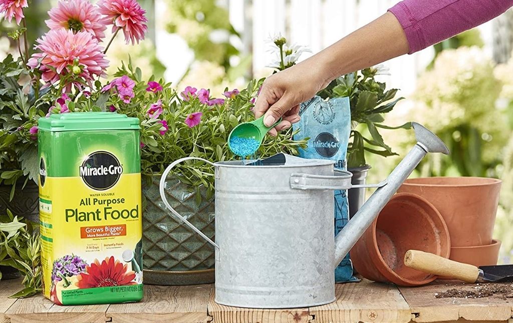 miracle-gro all purpose plant food