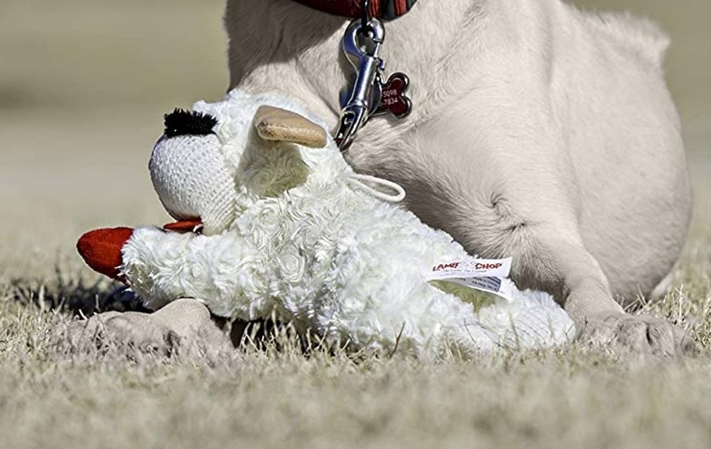 lamb chop dog toy