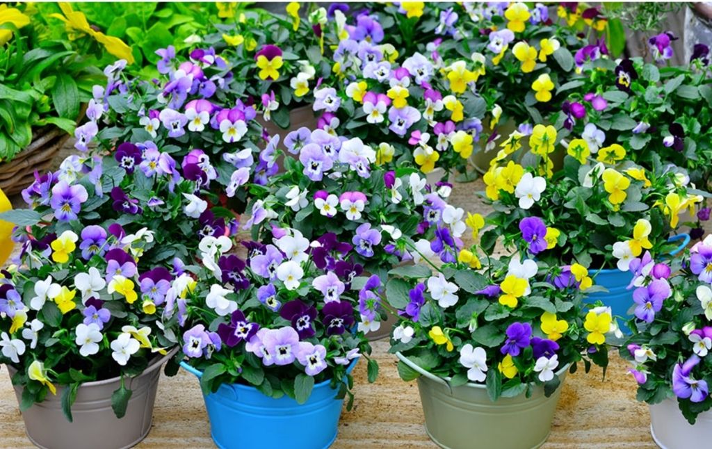 home depot spring kickoff sale