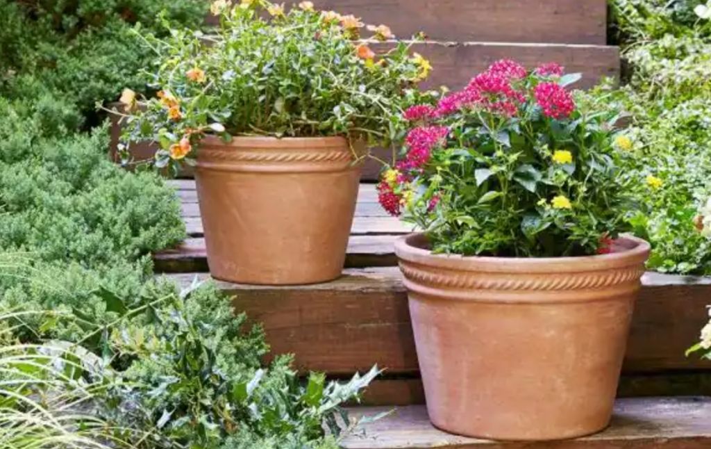 terra cotta planters