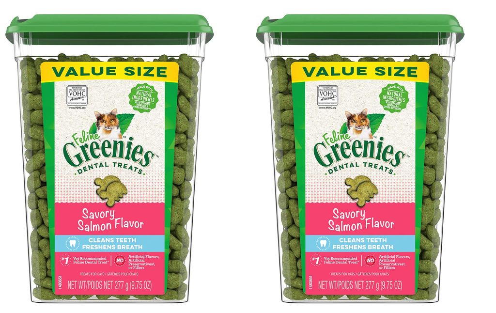 feline greenies dental treats