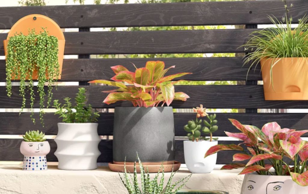 room essentials planters