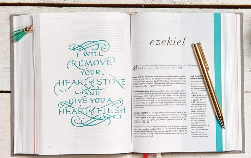 she reads truth Bible