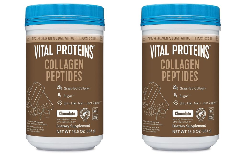 vital proteins chocolate