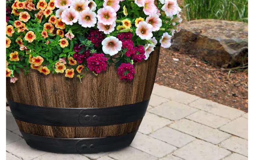 whiskey barrel planter