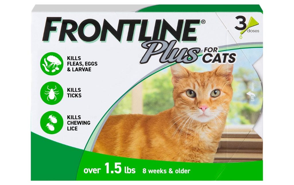 frontline cats