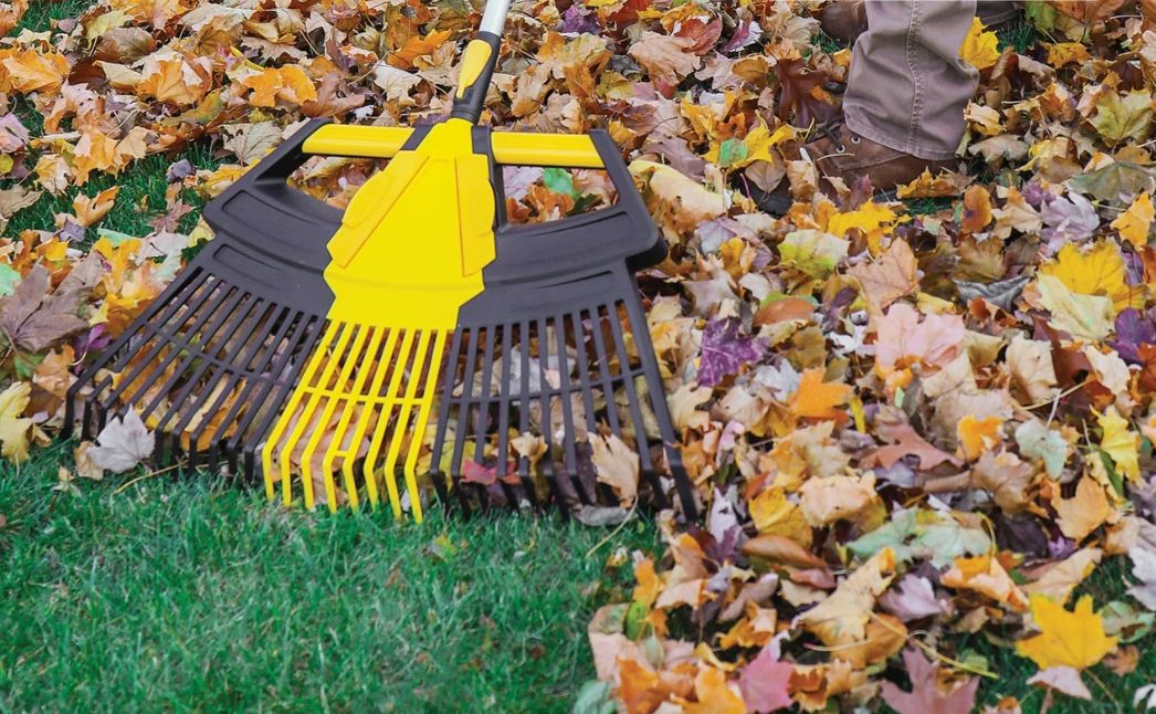 rake