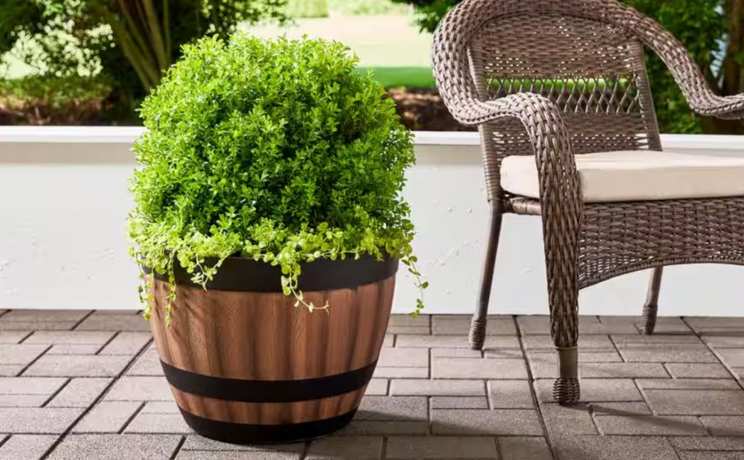 barrel planter