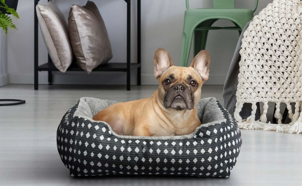 pet bed