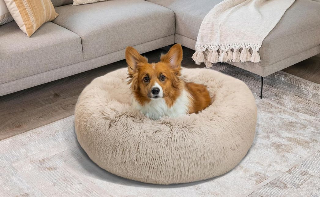cozy dog bed