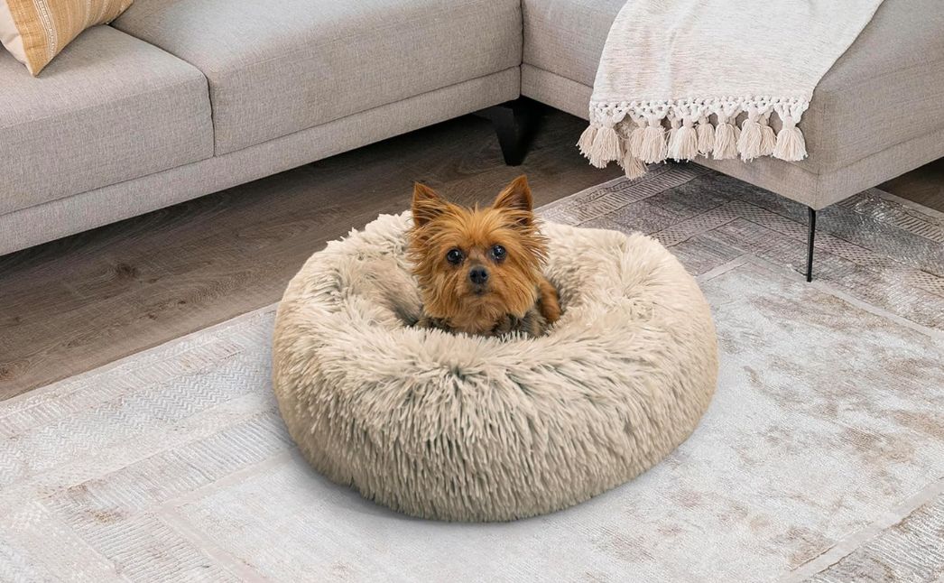 small cozy dog bed