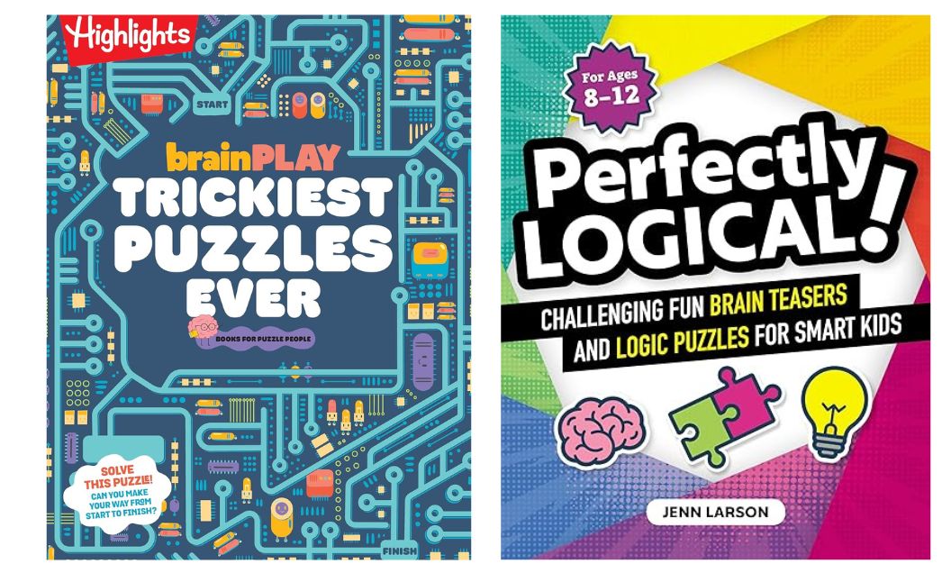 puzzle books