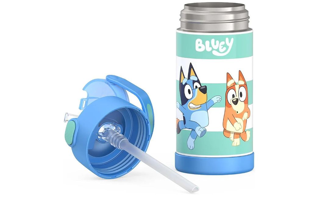 bluey thermos