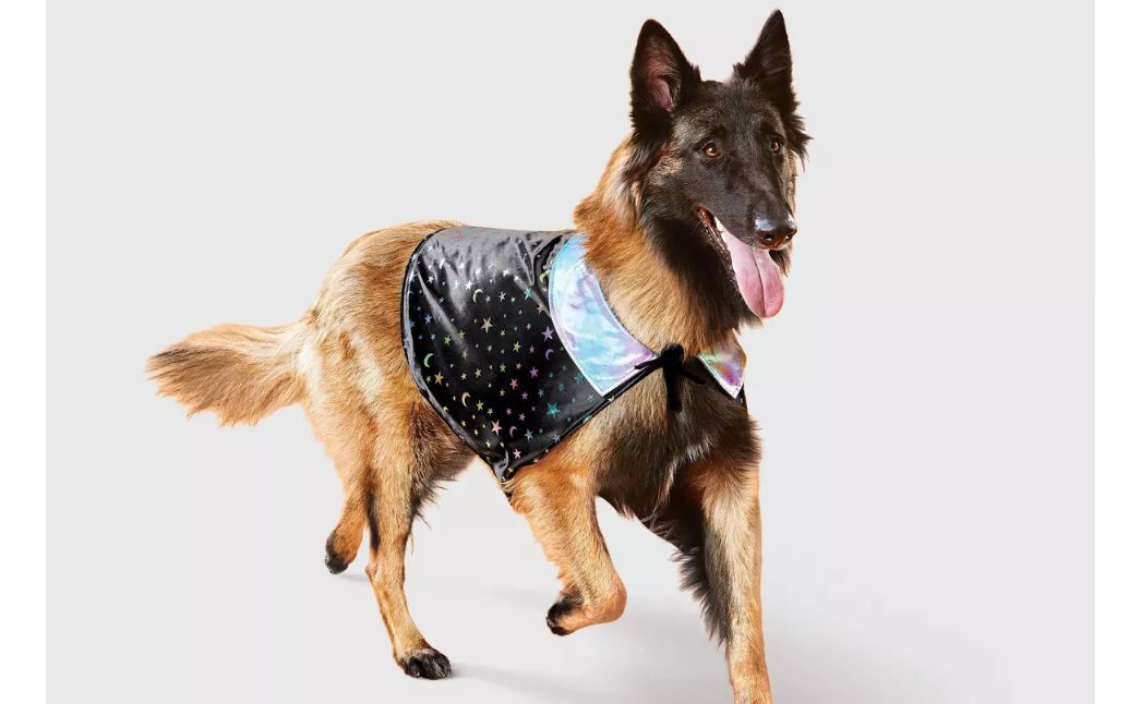 dog cape costume