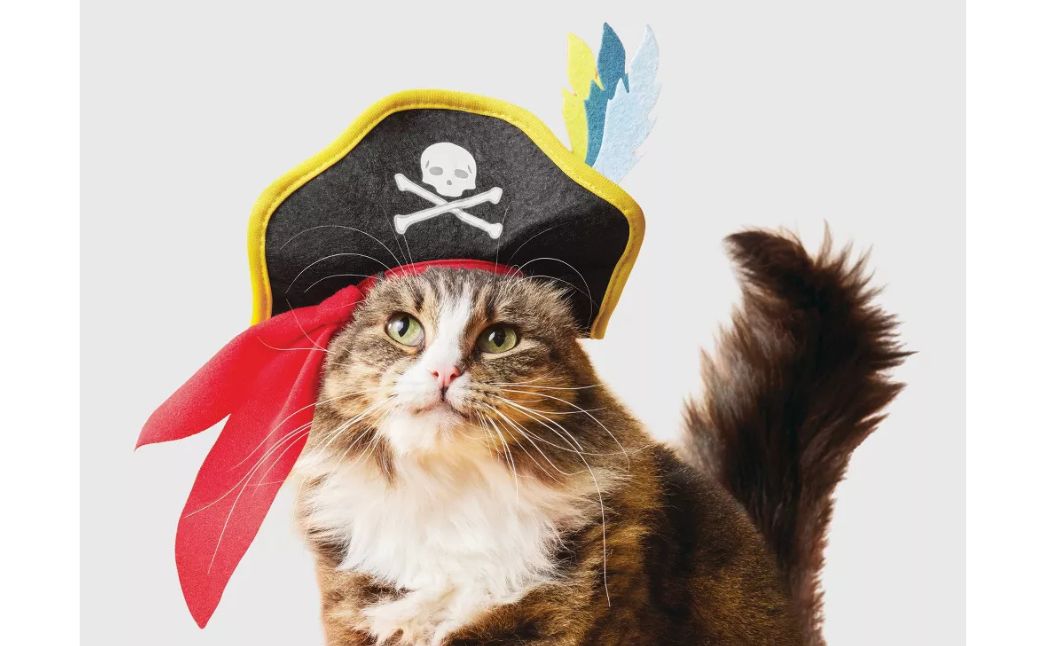 pet pirate costume