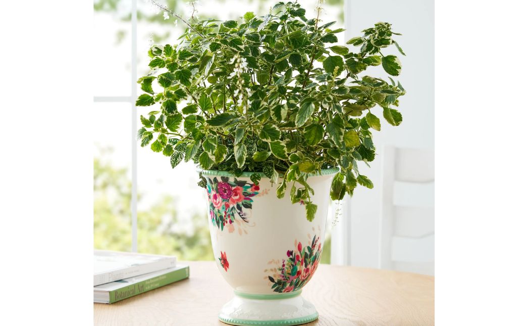 the pioneer woman planter