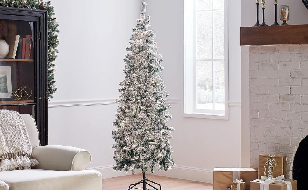 national tree christmas tree