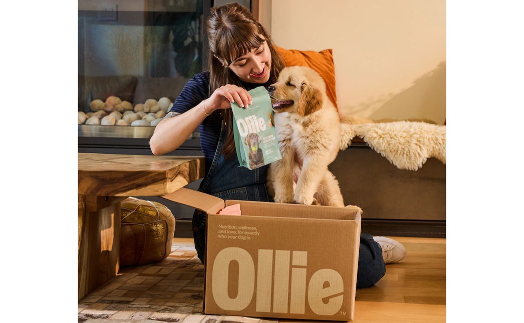 ollie dog food